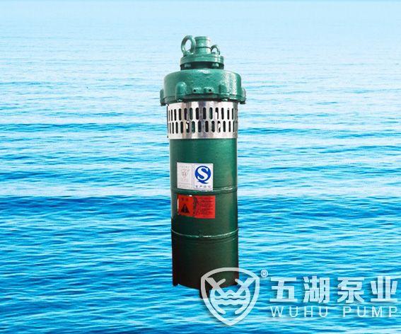 QS小型潜水电泵、QST660V特种电泵