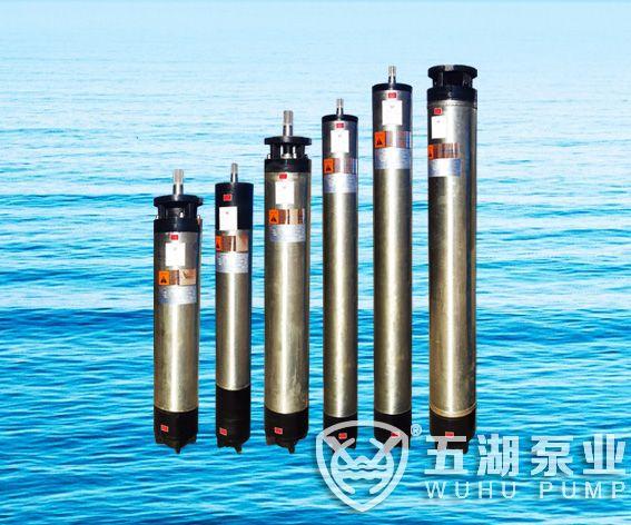 WHNWHM系列国际通用标准潜水电机