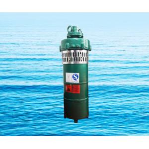 QS小型潜水电泵、QST660V特种电泵